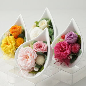 yŒZoׁzvU[uht[Mtg }[( t[ Mtg v[g a Ԕ j j 蕨 LO j ސEj LO Vzj JXj  w 