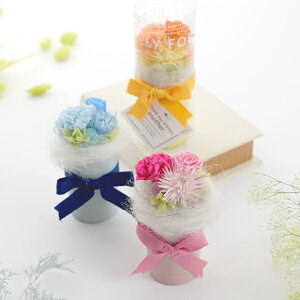 yŒZoׁzvU[uht[Mtg `FbV( t[ Mtg v[g a Ԕ j j 蕨 LO j ސEj LO Vzj JXj 