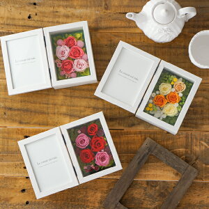 yŒZoׁzvU[uht[Mtg J[h[u M( t[ Mtg v[g a Ԕ j j 蕨 LO j ސEj LO Vzj JXj