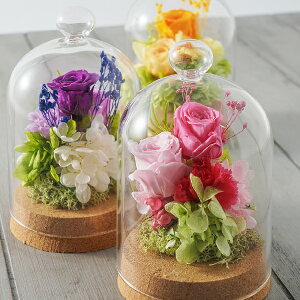 yŒZoׁzvU[uht[Mtg {[e S( t[ Mtg v[g a Ԕ j j 蕨 LO j ސEj LO Vzj JXj  