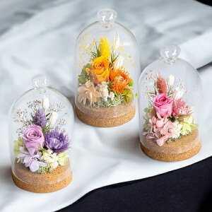 yŒZoׁzvU[uht[Mtg ~j( t[ Mtg v[g a Ԕ j j 蕨 LO j ސEj LO Vzj JXj  