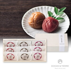 Premium IB썂~ 9 ؔ(~Mtg Ε N Hו Hi O 蕨 Mtg v[g  Ԃ j j  ]E ސE E e o lC )