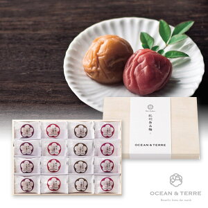 Premium IB썂~ 16 ؔ(~Mtg Ε N Hו Hi O 蕨 Mtg v[g  Ԃ j j  ]E ސE E e o lC )