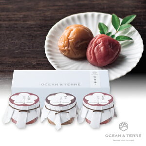 Premium IB썂~ZbgD(~Mtg Ε N Hו Hi O 蕨 Mtg v[g  Ԃ j j  ]E ސE E e o lC )