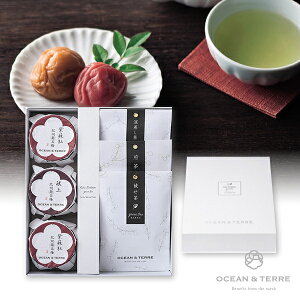 Premium IB썂~{ZbgE(HMtg Hi O  ݕ  蕨 Mtg v[g  Ԃ j j  ]E ސE E e o lC )