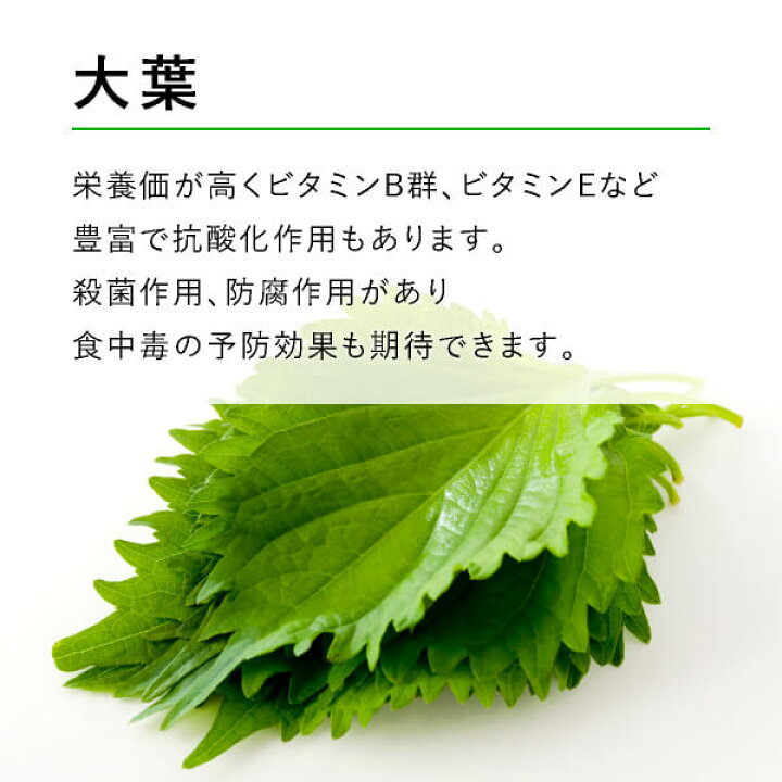 楽天市場 送料無料 テーブル菜園 大葉 栄養剤1本 おこもり 巣ごもり おうち時間 菜園 家庭菜園 水耕栽培キット 野菜 大葉 プランター栽培 初心者 家庭菜園セット 栄養剤付 室内 Piary ピアリー 楽天市場店
