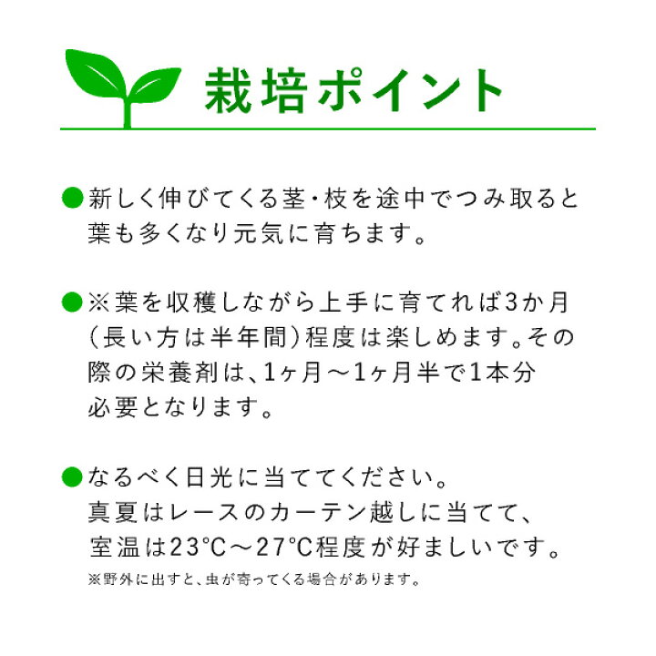 楽天市場 送料無料 テーブル菜園 大葉 栄養剤1本 おこもり 巣ごもり おうち時間 菜園 家庭菜園 水耕栽培キット 野菜 大葉 プランター栽培 初心者 家庭菜園セット 栄養剤付 室内 Piary ピアリー 楽天市場店