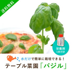 【送料無料】テーブル菜園「バジル」+栄養剤1本(おこもり 巣ごもり おうち時間 菜園 家庭菜園 水耕栽培キット 野菜 バジル プランター栽培 初心者 家庭菜園セット 栄養剤付 室内 )