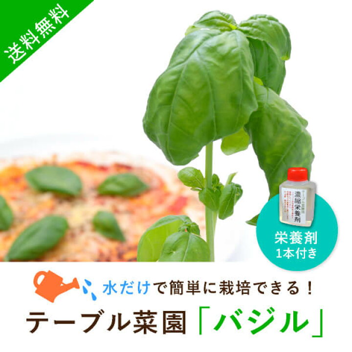 楽天市場 送料無料 テーブル菜園 バジル 栄養剤1本 おこもり 巣ごもり おうち時間 菜園 家庭菜園 水耕栽培キット 野菜 バジル プランター栽培 初心者 家庭菜園セット 栄養剤付 室内 Piary ピアリー 楽天市場店