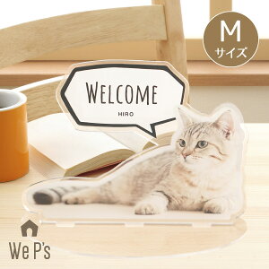 ̎qANX^hiMTCYj(   Mtg v[g  L I[_[Ch ʐ^ A CeA  ItBX D LO)