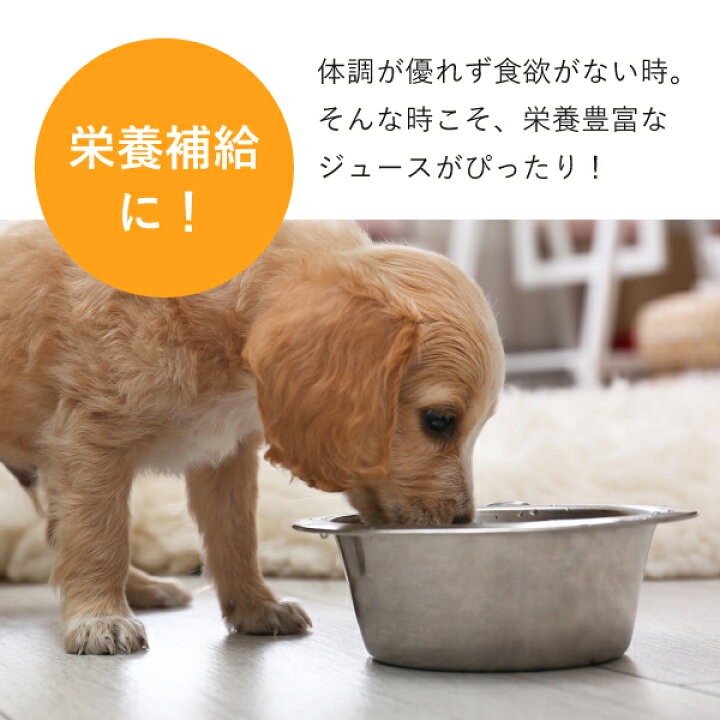 楽天市場 送料無料 ワンちゃんのジュース ラ フランス 本入 おこもり 巣ごもり おうち時間 犬用 ジュース ドリンク 栄養補給 無添加 果汁100 水分補給 犬 飲料 ラ フランスジュース ラ フランス 送料無料 Piary ピアリー 楽天市場店