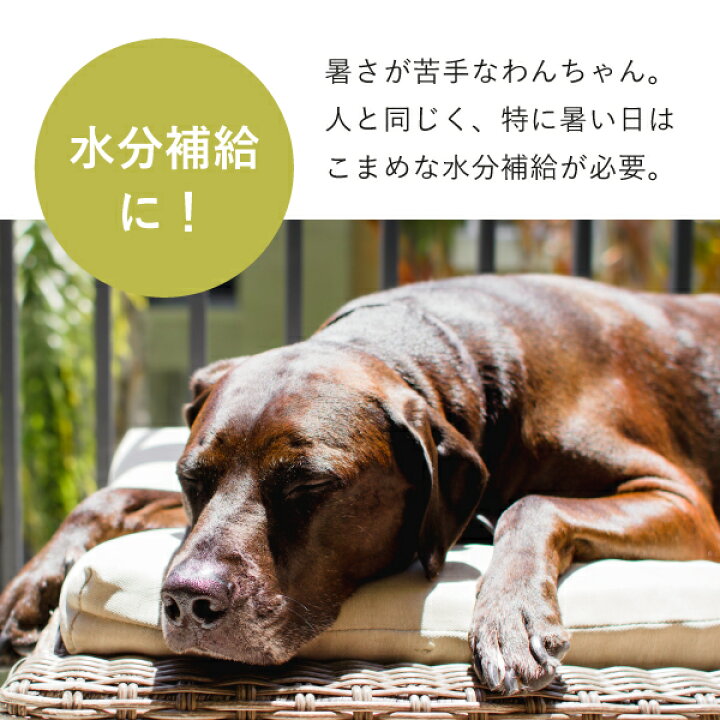 楽天市場 送料無料 ワンちゃんのジュース ラ フランス 本入 おこもり 巣ごもり おうち時間 犬用 ジュース ドリンク 栄養補給 無添加 果汁100 水分補給 犬 飲料 ラ フランスジュース ラ フランス 送料無料 Piary ピアリー 楽天市場店