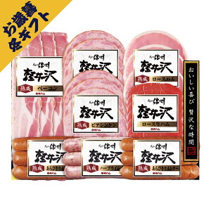 MBn yoGeB[MtgZbg No40(~Mtg Ε N O Hi BBQ ē H Mtg v[g 蕨 j j j j oYj yY Ԃ 