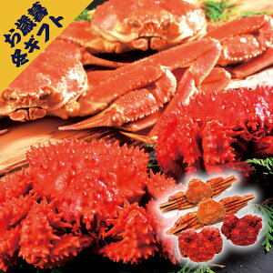 kC2KjiԍEIIYCjZbg(~Mtg Ε N O Hi aH  CN CY  Jj I Mtg v[g 蕨 j j j j oYj