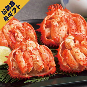 ԍ炩ɍb(~Mtg Ε N O Hi aH  CN CY  Jj I Mtg v[g 蕨 j j j j oYj yY Ԃ  