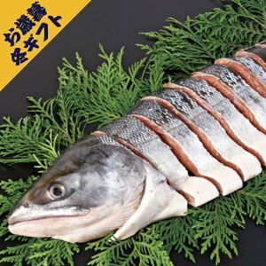 Hg؂g(~Mtg Ε N O Hi aH  CN CY TP  v[g 蕨 j j j j oYj yY Ԃ  Cj