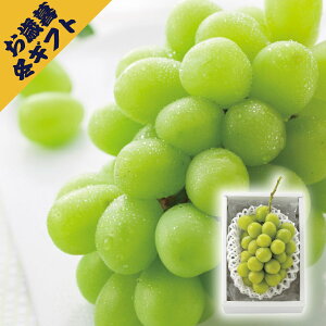 VC}XJbg(~Mtg Ε N O t[c ʕ Mtg v[g 蕨 j j j j oYj yY Ԃ  Cj ސEj zj