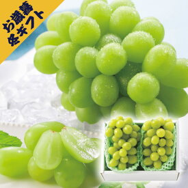 シャインマスカット 2房(冬ギフト お歳暮 お年賀 グルメ フルーツ 果物 ギフト プレゼント 贈り物 お祝い 内祝い 結婚祝い 結婚内祝い 出産内祝い 手土産 お返し お礼 快気祝い 退職祝い 引越祝い 詰合せ 挨拶 人気 おすすめ)