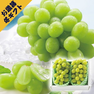 VC}XJbg 2[(~Mtg Ε N O t[c ʕ Mtg v[g 蕨 j j j j oYj yY Ԃ  Cj ސEj z