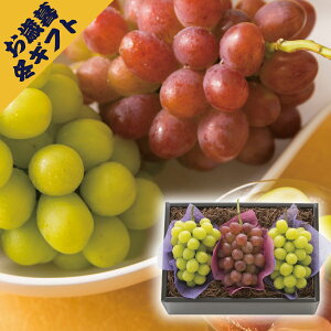 シャインマスカット2房&紫苑ぶどう(冬ギフト お歳暮 お年賀 グルメ フルーツ 果物 ギフト プレゼント 贈り物 お祝い 内祝い 結婚祝い 結婚内祝い 出産内祝い 手土産 お返し お礼 快気祝い 退