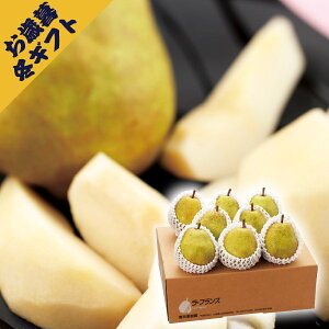 R`Ecʎ I܍͔|EtX3kg(~Mtg Ε N O t[c ʕ Mtg v[g 蕨 j j j j oYj yY Ԃ  