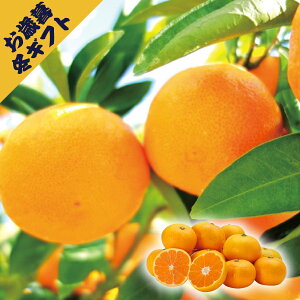 a̎RX{_ IB݂3kg(~Mtg Ε N O t[c ʕ  ~J Mtg v[g 蕨 j j j j oYj yY Ԃ  C