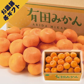 有田みかん 2.7kg(冬ギフト お歳暮 お年賀 グルメ フルーツ 果物 蜜柑 ミカン ギフト プレゼント 贈り物 お祝い 内祝い 結婚祝い 結婚内祝い 出産内祝い 手土産 お返し お礼 快気祝い 退職祝い 引越祝い 詰合せ 挨拶 人気 おすすめ)