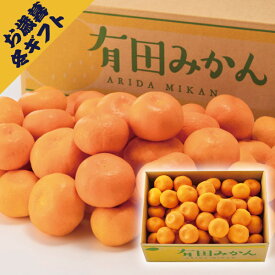 有田みかん 4.5kg(冬ギフト お歳暮 お年賀 グルメ フルーツ 果物 蜜柑 ミカン ギフト プレゼント 贈り物 お祝い 内祝い 結婚祝い 結婚内祝い 出産内祝い 手土産 お返し お礼 快気祝い 退職祝い 引越祝い 詰合せ 挨拶 人気 おすすめ)