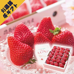 さくらもも苺(冬ギフト お歳暮 お年賀 グルメ フルーツ 果物 いちご イチゴ ギフト プレゼント 贈り物 お祝い 内祝い 結婚祝い 結婚内祝い 出産内祝い 手土産 お返し お礼 快気祝い 退職祝い