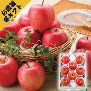 Tӂ 8(~Mtg Ε N O t[c ʕ ь S Mtg v[g 蕨 j j j j oYj yY Ԃ  Cj ސE