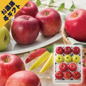 4񂲃AJg 2.8kg(~Mtg Ε N O t[c ʕ ь S Mtg v[g 蕨 j j j j oYj yY Ԃ  Cj 