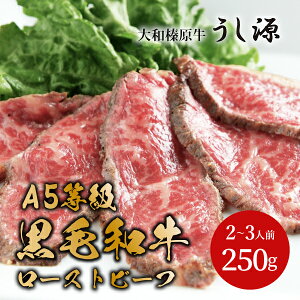 aYv~A[Xgr[t(O Xe[L v[g Mtg    r[t Hו Hi  јa A5N 蕨 wj Ԃ  j j 