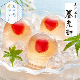 京都 養老軒 山形県産さくらんぼのゼリー（8個）(お中元 夏ギフト 残暑見舞い ギフト 詰め合わせ フルーツ ゼリー 御中元 和菓子 ギフト プレゼント 贈り物 内祝い お礼 御礼 お祝い 御祝い お返し 土産 菓子折り 贈答品 詰め合わせ お取り寄せ おしゃれ かわいい)