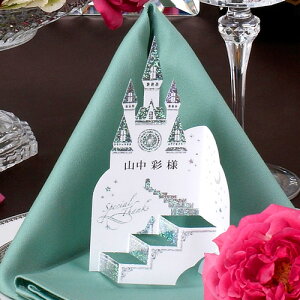 ȎD Vf̌C i1V[g2pj( y[p[ACe Lbg ev[g EFfBO uC_ p[eB[ 񎟉 L[g OWA[ OD l[J[h)