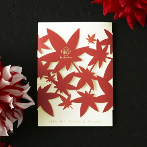 ҏ -ICHIKA MOMIJI-ҏy10z( y[p[ACe Lbg ev[g EFfBO uC_ p[eB[ 񎟉  i a gt Wpj[Y_)