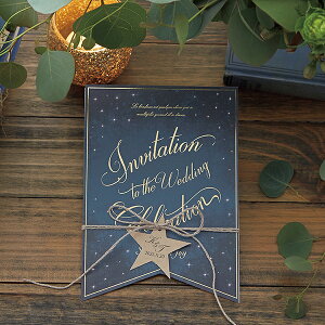 ҏ Sky Starry XJCX^[[ ҏy10z( y[p[ACe Lbg ev[g EFfBO uC_ p[eB[ 񎟉 iCgEFfBO  )