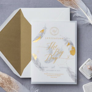 ҏ Aile Dfange -GhAW- ҏy10z( y[p[ACe Lbg ev[g EFfBO uC_ p[eB[ 񎟉 Vg H)