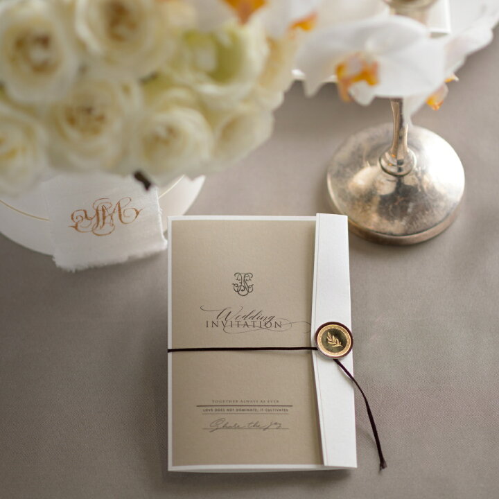 楽天市場 招待状 Eterna エターナ シャンパン 招待状 10冊入り 結婚式 ペーパーアイテム 手作りキット テンプレート ウェディング ブライダル パーティー 二次会 ゴージャスセレブリティ Piary ピアリー 楽天市場店