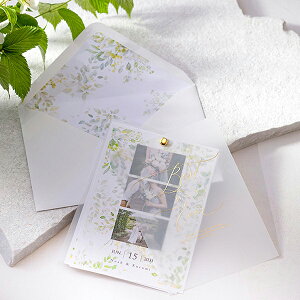 ҏ Tracieer Floris -g[VA t[X- ҏy10z( y[p[ACe Lbg ev[g EFfBO uC_ p[eB[ 񎟉)