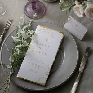 Ȏ\ Chance -VX- Ȏ\y10z( y[p[ACe Lbg ev[g EFfBO uC_ p[eB[ 񎟉 i`K[f XeBbNCt ȏ