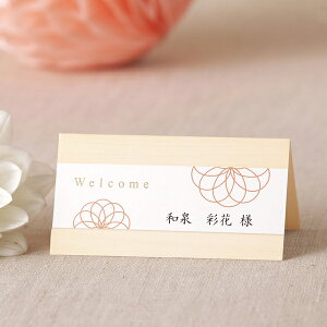 ȎD ،-HANAMUSUBI-ȎD@1V[g4lp( y[p[ACe Lbg ev[g EFfBO uC_ p[eB[ 񎟉  i a m Wpj[Y_ OD l