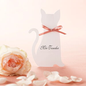 ȎD A~bgȎDiCatj@1Zbg4lp{t( y[p[ACe Lbg ev[g EFfBO uC_ p[eB[ 񎟉 { L i OD l[J[