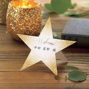 ȎD Sky Starry XJCX^[[ ȎD 1V[g4lp( y[p[ACe Lbg ev[g EFfBO uC_ p[eB[ 񎟉 iCgEFfBO   OD l