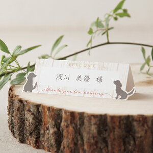 ȎD and LOVE Ahu(Dog) ȎD 1V[g4lp( y[p[ACe Lbg ev[g EFfBO uC_ p[eB[ 񎟉  Dog ybg VGbg OD l[J