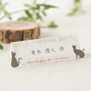 ȎD and LOVE Ahu(Cat) ȎD 1V[g4lp( y[p[ACe Lbg ev[g EFfBO uC_ p[eB[ 񎟉 L lR ybg VGbg OD l[