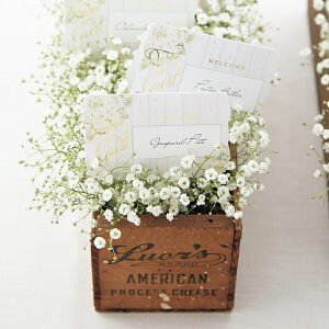 ȎD Bouquet de blanc u[PhDu(i`) ȎD 1V[g4lp( y[p[ACe Lbg ev[g EFfBO uC_ p[eB[ 񎟉 J_[ Ebh