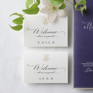 ȎD ETERNA -G^[i- ȎD 1V[g4lp( y[p[ACe Lbg ev[g EFfBO uC_ p[eB[ 񎟉 S[WXZueB OD l[J[h)