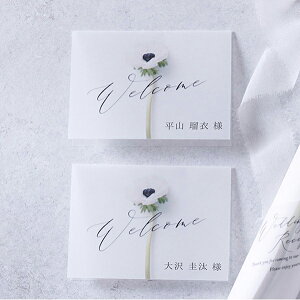 ȎD Charme de fleur -Vht[-(All) ȎD 1V[g4lp( y[p[ACe Lbg ev[g EFfBO uC_ p[eB[ 񎟉 C^A { 