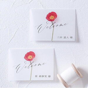 ȎD Charme de fleur -Vht[-(|s[) ȎD 1V[g4lp( y[p[ACe Lbg ev[g EFfBO uC_ p[eB[ 񎟉 C^A { ԕ 