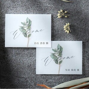 ȎD Charme de fleur -Vht[-([J) ȎD 1V[g4lp( y[p[ACe Lbg ev[g EFfBO uC_ p[eB[ 񎟉 C^A { 